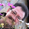 Turgut Güngez