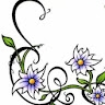 valentina .scalia