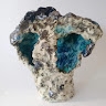 nadia agnolet