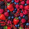 Canton Farmers Market