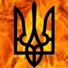 Володимир Романенко