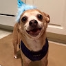 Vedder  