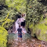 Pana Paza