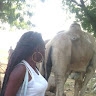 Horty tumba
