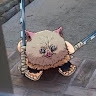 Максим Галайко
