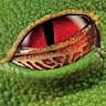 vio geri