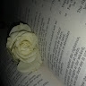 Gflower  
