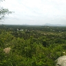VENKATESAN G