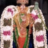Dr.Radhika Chelliah