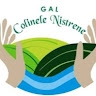 gal colinele nistrene