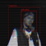 phlushd  