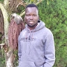 Mudong Robert