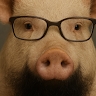 Kingsley Godfrey