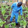mulumba matia