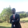 Sheltone  