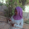 MUREKATETE Neema