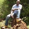Martin Mwiti