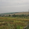 Ярослав Заплатинський
