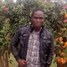 amos cheshari