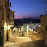 Trani Roth