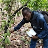 Konan Aristide KOUADIO