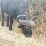 Simon Otieno