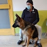 Denis Medak