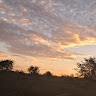 Mbongiseni Tinotenda zhakata