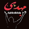 Mohsin Raza Gardazi Syed