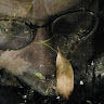 Thomas Haus