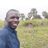 Andrew Jokene