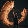 Phoenix Vibes
