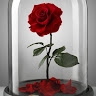 Hope_ RB