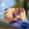 ElijahGgonjo  