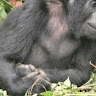 Mark Mwine