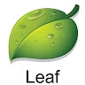 Leaf Skin Products