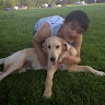 David Zheng