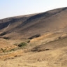שלמה חנוך שווירץ