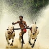 naveen krish