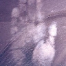 Bev Mar