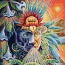 LOCKEDnA DIVINE JOURNEY