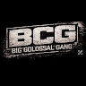 BCG Press Team