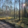 Oskars Dūdens