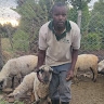 CORNELIUS KURIA