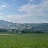 Ruggiero Cannito