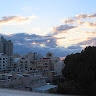 אסתי  