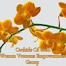 vivian Wechie