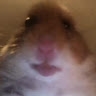Łìzå  