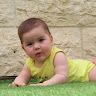 טלי ביטון
