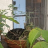 Jennifer Gilmore